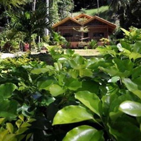 Tiki Beach Resort Davao Zewnętrze zdjęcie